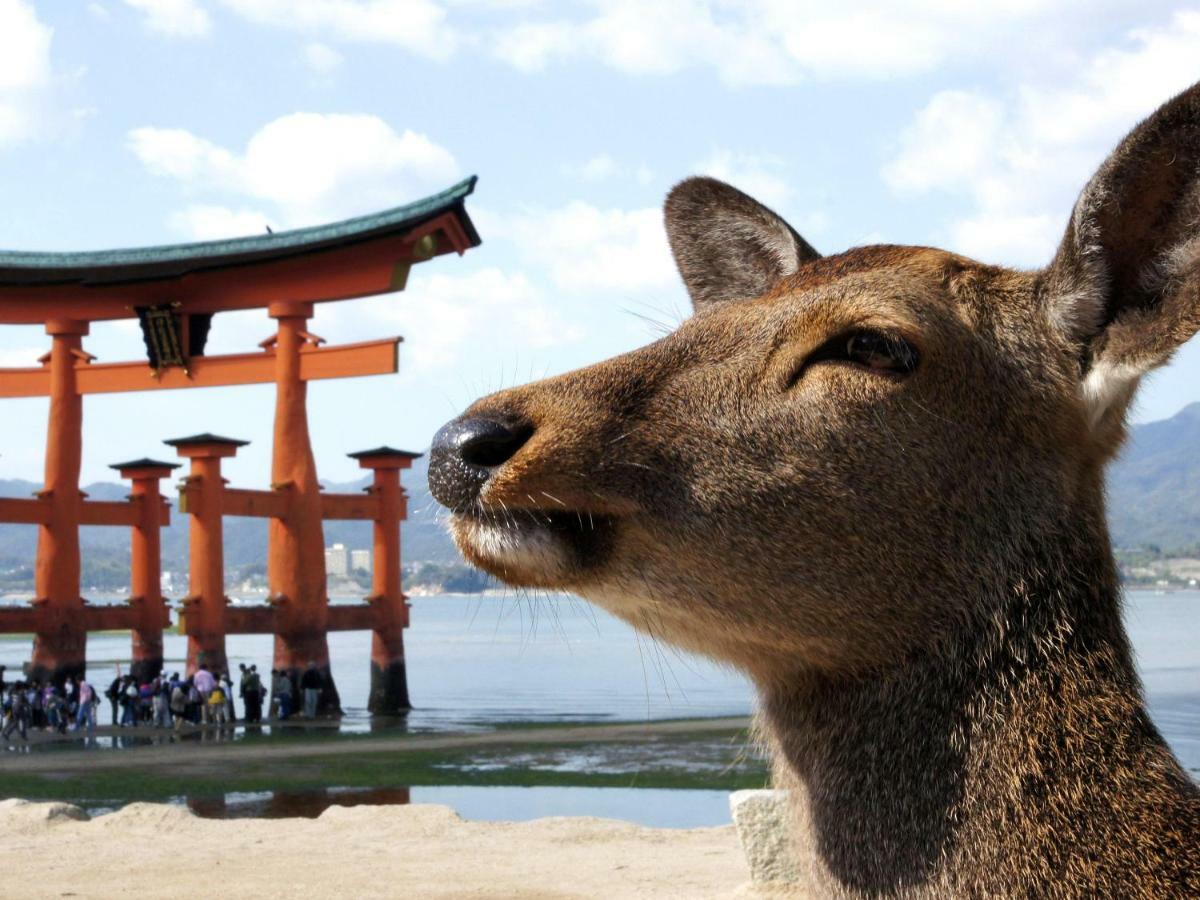 Global Resort Miyajima View Hatsukaichi Eksteriør bilde